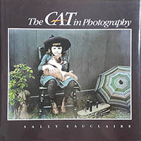 The Cat in Photography